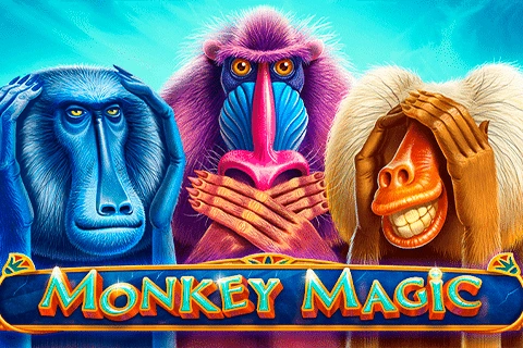 Monkey Magic Playbro